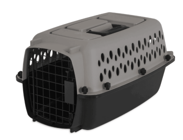 Vibrant Life Pet Kennel 19" X-Small Plastic Dog Crate Portable Carrier for Pets up to 10 lbs